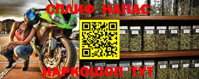 бошки Владимир
